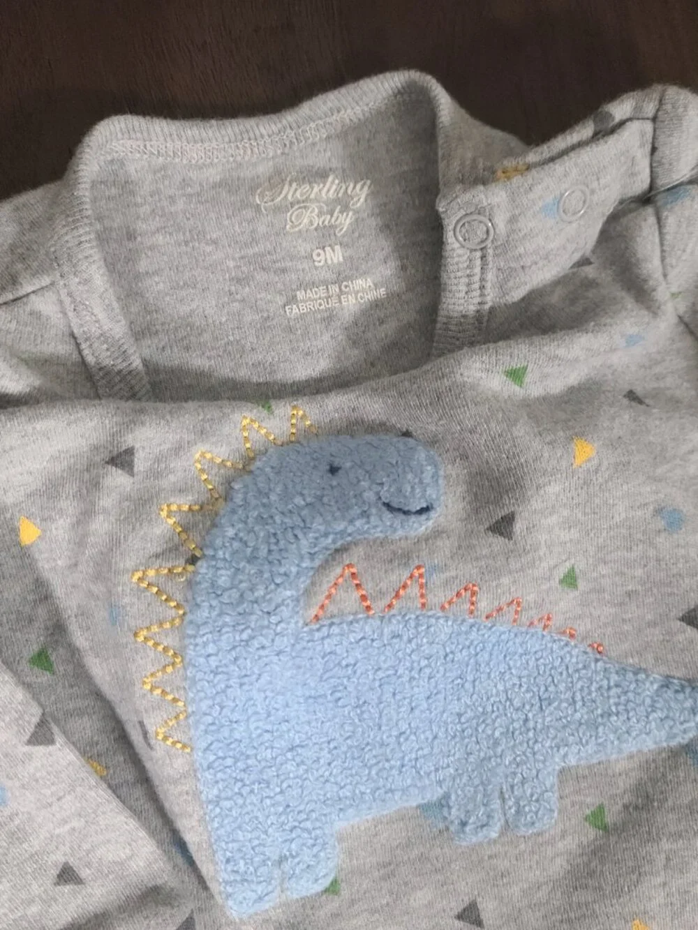 N/A dinosaur print